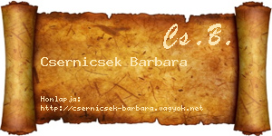 Csernicsek Barbara névjegykártya